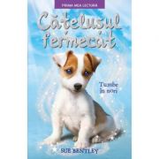 Catelusul fermecat. tumbe in nori. prima mea lectura - sue bentley