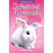 Iepurasul fermecat. in cautarea unui prieten. prima mea lectura - sue bentley