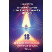 Surprinzatoarele coincidente numerice ale vietii volumul 3 – Ligia Hotin de la librariadelfin.ro imagine 2021