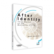 After Identity. Three Essays on the Musicality of Life - Maria-Mihaela Grajdian
