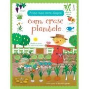 Prima mea carte despre cum cresc plantele - Usborne Books