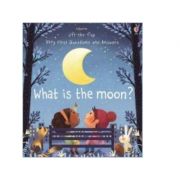 What is the moon? - katie daynes