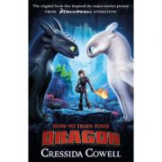 How to Train Your Dragon FILM TIE IN (3RD EDITION) - Cressida Cowell
