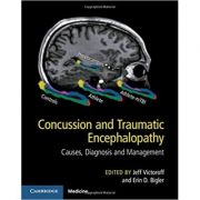 Concussion and Traumatic Encephalopathy: Causes, Diagnosis and Management - Jeff Victoroff, Erin D. Bigler