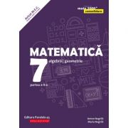 Matematica. Algebra, geometrie. Clasa a VII-a. Consolidare. Partea a II-a - Anton Negrila, Maria Negrila image7