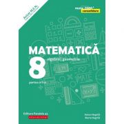 Matematica. Algebra, geometrie. Clasa a VIII-a. Consolidare. Partea a II-a – Anton Negrila, Maria Negrila librariadelfin.ro
