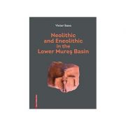 Neolithic and Eneolothic in the Lower Mures Basin – Victor Sava librariadelfin.ro imagine noua
