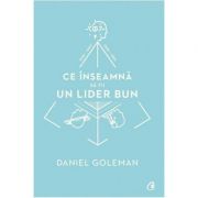 Ce inseamna sa fii un lider bun. De ce este importanta inteligenta emotionala – Daniel Goleman librariadelfin.ro