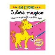Culori magice. cai si ponei