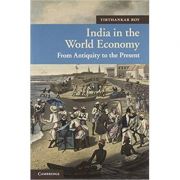 India in the World Economy: From Antiquity to the Present - Tirthankar Roy