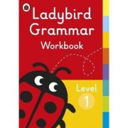 Ladybird grammar workbook level 1