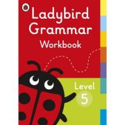 Ladybird grammar workbook level 5