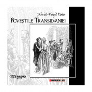 Povestile Transilvaniei - Gabriel-Virgil Rusu