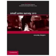 Small Arms Survey 2013: Everyday Dangers librariadelfin.ro poza noua