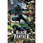 Black Panther: Panther’s Quest – Don McGregor Black