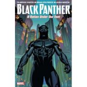 Black Panther Vol. 1: A Nation Under Our Feet – Ta-Nehisi Coates librariadelfin.ro