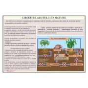 Circuitul azotului in natura – Plansa 1000×700 mm, cu sipci (GP25) imagine 2022