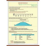 Educatie muzicala - plansa silk dublu laminat
