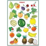 Fruit/Vegetables and herbs (DUO) - Plansa viu colorata, cu 2 teme distincte
