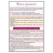 Genul dramatic – Plansa, 700x1000mmm cu sipci (LR38) librariadelfin.ro imagine 2022