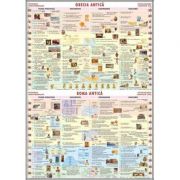 Grecia si Roma Antica (IPL1) Rechizite scolare. Planse educative. Planse tematice. Geografie si istorie imagine 2022