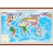 Harta zonelor de soluri pe glob 1400×1000 mm (GHL8) librariadelfin.ro imagine 2022