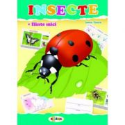 Mapa insecte - inesa tautu