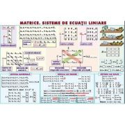 Matrice. Sisteme de ecuatii liniare/ Sfera inscrisa in corpurile de rotatie – Plansa dubla (MP16) librariadelfin.ro