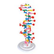 Mulaj model ADN imagine libraria delfin 2021