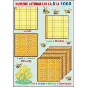 Numere naturale de la 0-1000 / Operatii cu numere naturale (DUO) - Plansa cu 2 teme distincte