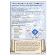 Organizatia Natiunilor Unite - Plansa 700x1000mm, cu sipci ( IPL11)