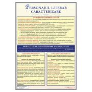 Personajul literar. Caracterizare – Plansa, 700x1000mm, cu sipci (LR45) (LR45) imagine 2022