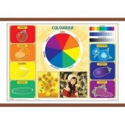 Plansa. Culoarea – Arte librariadelfin.ro imagine 2022