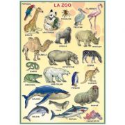 Plansa – La Zoo Rechizite scolare. Planse educative. Planse tematice imagine 2022