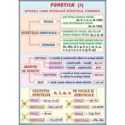 Plansa dubla – Fonetica/ Complementele necircumstantiale (LR1) librariadelfin.ro
