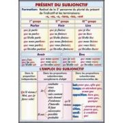 Plansa dubla – Present du Subjonctif. Lemploi du Subjonctif/ Formes du Conditionnel Present et du Conditionnel Passe (FP6) (FP6)