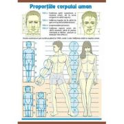 Plansa dubla – Proportiile corpului uman/ Contrastele cromatice (AP5) librariadelfin.ro imagine 2022