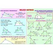 Relatii metrice/Sisteme si totalitati de ecuatii – Plansa fata-verso (MP11) Rechizite scolare. Planse educative. Planse tematice. IT si matematica imagine 2022