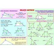 Relatii metrice/Sisteme si totalitati de ecuatii - Plansa fata-verso (MP11)