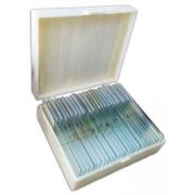 Sectiuni microscopice – Artropode, miriapode librariadelfin.ro imagine 2022