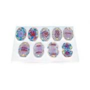 Set - modele avansate de meioza la animale image11