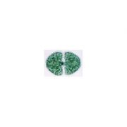 Set 10 sectiuni microscopice – Cocci librariadelfin.ro imagine 2022