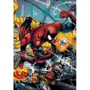 Spider-man By David Michelinie And Erik Larsen Omnibus – David Michelinie, Jim Owsley librariadelfin.ro poza 2022