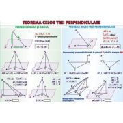 Teorema celor trei perpendiculare/ Sfera circumscrisa corpurilor de rotatie – Plansa dubla (MP19) „Trei