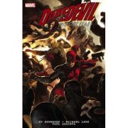Daredevil By Ed Brubaker & Michael Lark Ultimate Collection – Book 2 – Ed Brubaker librariadelfin.ro