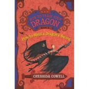 How to Steal a Dragon's Sword: The Heroic Misadventures of Hiccup the Viking - Cressida Cowell