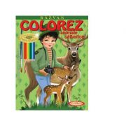 Razvan. colorez animale salbatice - petru ghetoi