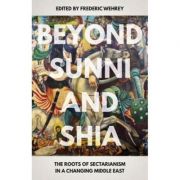 Beyond Sunni and Shia – Frederic Wehrey librariadelfin.ro poza 2022