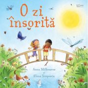 O zi insorita (Usborne) - Usborne Books