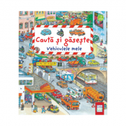 Vehiculele mele - cauta si gaseste - susanne gernhäuser